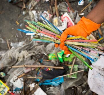 Straws are a significant contributor to plastic pollution in Environment